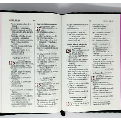 Biblia/RVR065CZLG/PJR/Negro Canto Fucsia Biblia/RVR065CZLG/PJR/Negro Canto Fucsia