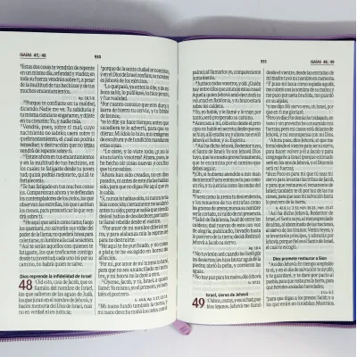 Biblia/RVR065CZLG/PJR/Lila Canto Lila Biblia/RVR065CZLG/PJR/Lila Canto Lila