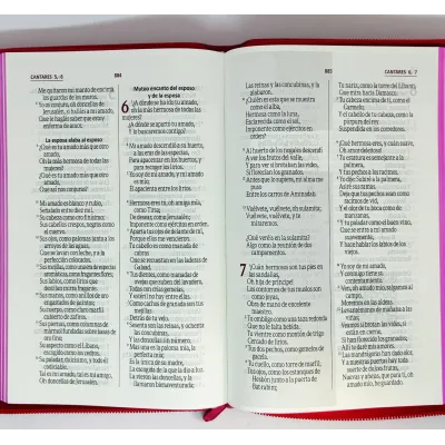 Biblia RVR65 LG PJR Fucsia C- Fucsia [Biblia] RVR60
