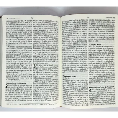 Biblia De Promesas Inspira Letra Grande [Biblia] Piel Especial Rosada