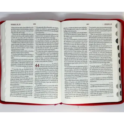 Biblia/RVR086cZTILGi /Fucsia Rosa/Indice Letra Gigante