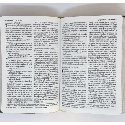 Biblia NTV Compacta Letra Grande Gris y Amarillo Biblia NTV Compacta Letra Grande Gris y Amarillo