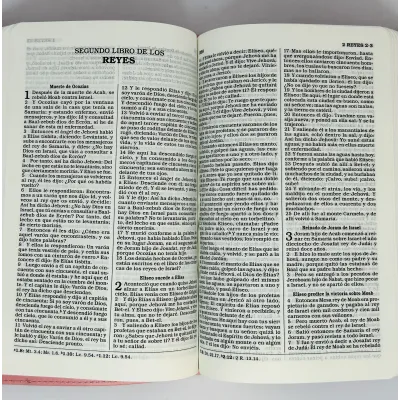 Biblia RVR 1960/Para Regalos Y Premios Rosa/Flores